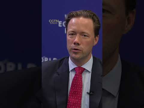&#039;The global green energy transition is only possible with China&#039;